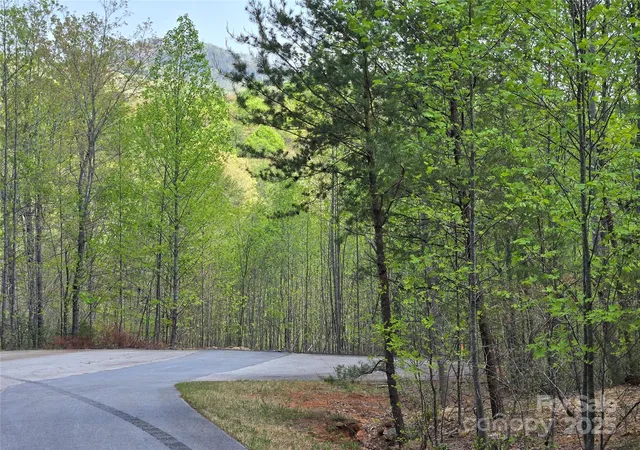 3rd image of Lot 20 Touch Me Not Trl, Lake Lure, NC 28746 | MLS# 4250037