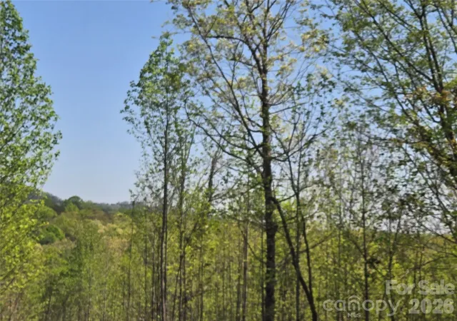 Photo 3 of Land for sale at Lot 20 Touch Me Not Trl, Lake Lure, NC 28746 | MLS# 4250037 | Listing updated on 2026-09-24