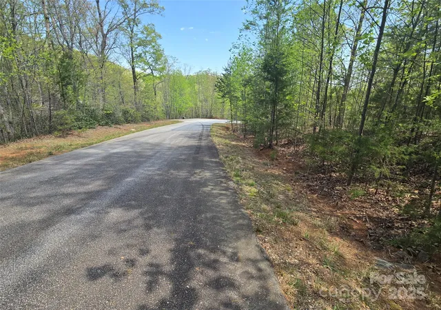 4th image of Lot 20 Touch Me Not Trl, Lake Lure, NC 28746 | MLS# 4250037