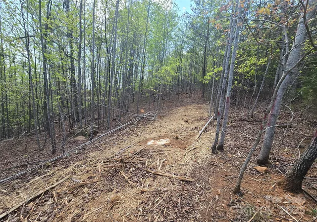 5th image of Lot 20 Touch Me Not Trl, Lake Lure, NC 28746 | MLS# 4250037