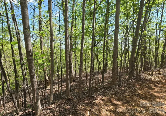Photo 4 of Land for sale at Lot 24 High Rock Ridge, Lake Lure, NC 28746 | MLS# 4250059 | Listing updated on 2026-09-22