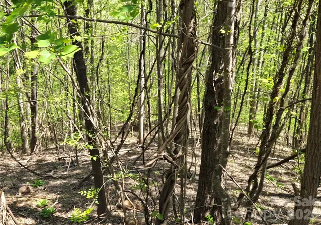 Photo 3 of Land for sale at Lot 33 Turkey Fall Ln, Lake Lure, NC 28746 | MLS# 4250093 | Listing updated on 2026-09-22