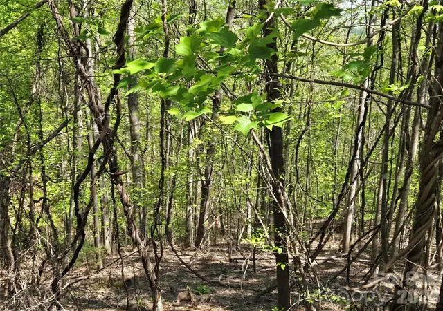 Photo 4 of Land for sale at Lot 33 Turkey Fall Ln, Lake Lure, NC 28746 | MLS# 4250093 | Listing updated on 2026-09-22