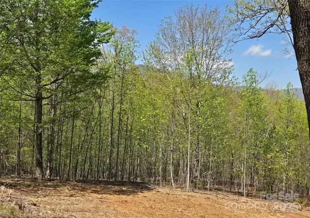 4th image of Lot 34 High Rock Rdg, Lake Lure, NC 28746 | MLS# 4250098