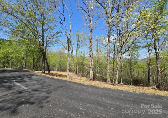 5th image of Lot 34 High Rock Rdg, Lake Lure, NC 28746 | MLS# 4250098