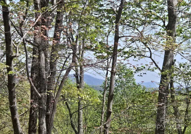 3rd image of Lot 36 Turkey Fall Ln, Lake Lure, NC 28746 | MLS# 4250255