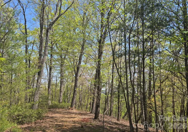 Photo 3 of Land for sale at Lot 36 Turkey Fall Ln, Lake Lure, NC 28746 | MLS# 4250255 | Listing updated on 2026-09-22