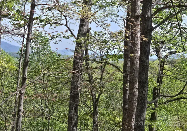5th image of Lot 36 Turkey Fall Ln, Lake Lure, NC 28746 | MLS# 4250255