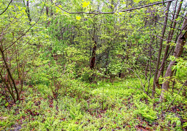 Photo 4 of Land for sale at Tbd High Hemlock Trl #46, Brevard, NC 28712 | MLS# 4250545 | Listing updated on 2026-07-29