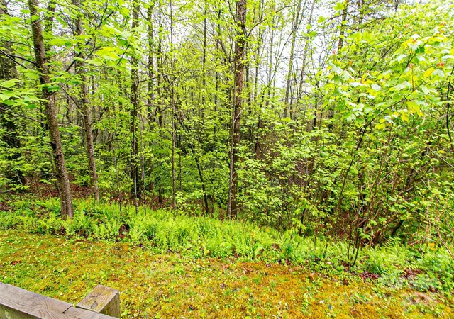 Photo 5 of Land for sale at Tbd High Hemlock Trl #46, Brevard, NC 28712 | MLS# 4250545 | Listing updated on 2026-07-29