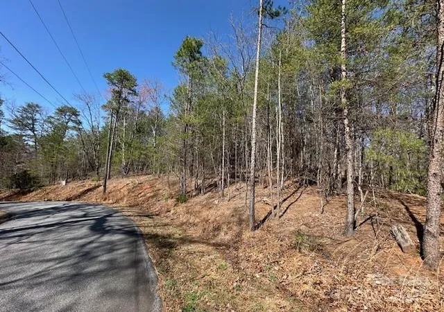 1st image of 0 Hawthorne Dr #1,17,18, Lake Lure, NC 28746 | MLS# 4250727