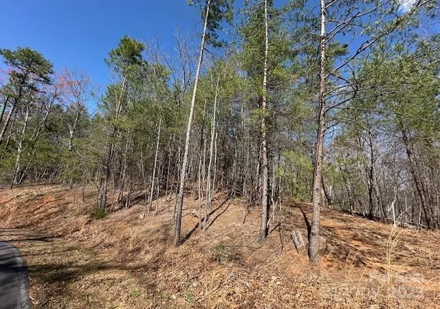 3rd image of 0 Hawthorne Dr #1,17,18, Lake Lure, NC 28746 | MLS# 4250727