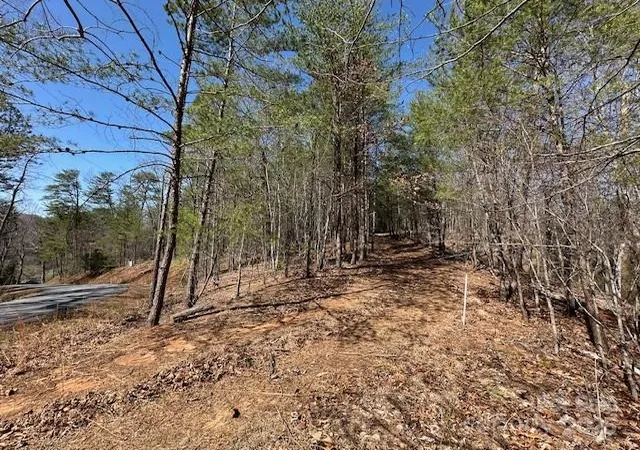 4th image of 0 Hawthorne Dr #1,17,18, Lake Lure, NC 28746 | MLS# 4250727
