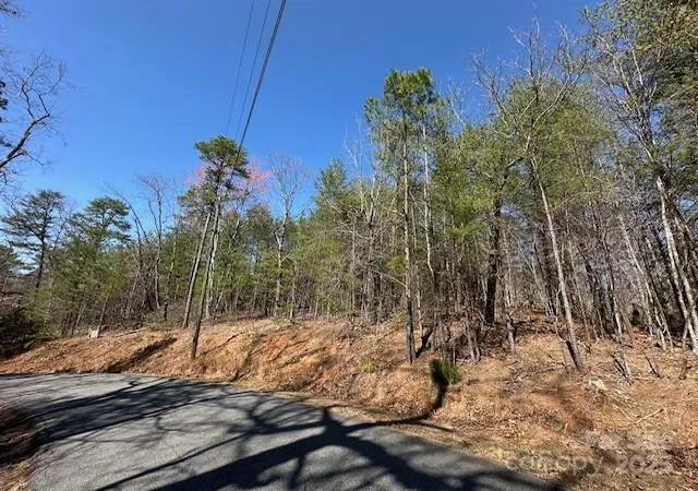 5th image of 0 Hawthorne Dr #1,17,18, Lake Lure, NC 28746 | MLS# 4250727