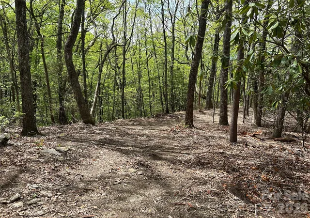 Photo 2 of Land for sale at 000 John Delk Rd #2&6, Hendersonville, NC 28792 | MLS# 4251373 | Listing updated on 2026-04-16