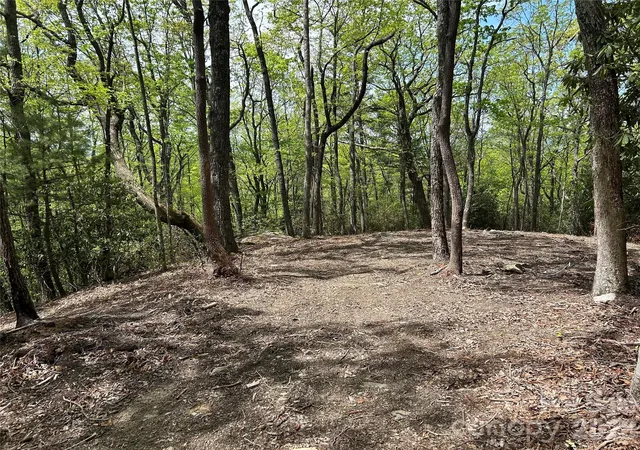 Photo 3 of Land for sale at 000 John Delk Rd #2&6, Hendersonville, NC 28792 | MLS# 4251373 | Listing updated on 2026-04-16