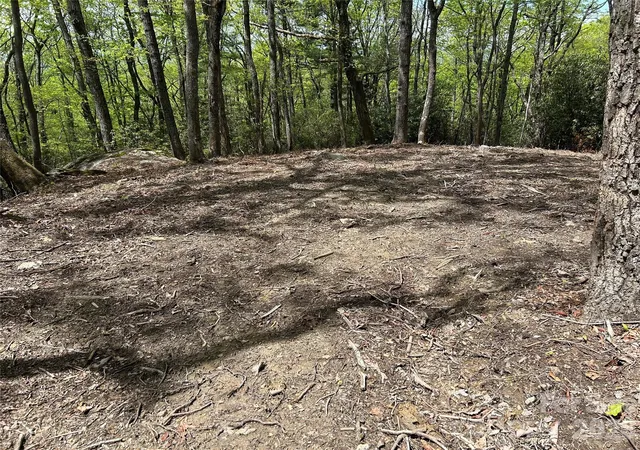 Photo 3 of Land for sale at 000 John Delk Rd #2&6, Hendersonville, NC 28792 | MLS# 4251373 | Listing updated on 2026-04-16
