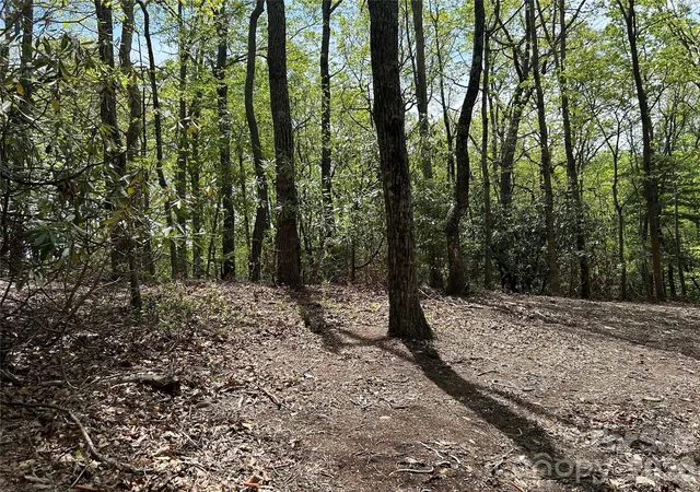 Photo 4 of Land for sale at 000 John Delk Rd #2&6, Hendersonville, NC 28792 | MLS# 4251373 | Listing updated on 2026-04-16