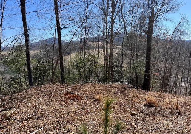Photo 3 of Land for sale at 000 Trinity Pl, Burnsville, NC 28714 | MLS# 4251642 | Listing updated on 2025-10-21