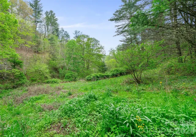 Photo 2 of Land for sale at 0 Fire Scald Rd, Green Mountain, NC 28740 | MLS# 4252435 | Listing updated on 2026-08-12