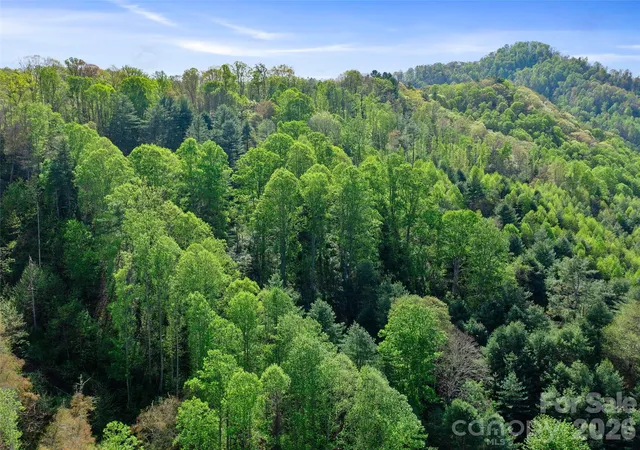 Photo 30 of Land for sale at 0 Fire Scald Rd, Green Mountain, NC 28740 | MLS# 4252435 | Listing updated on 2026-08-12