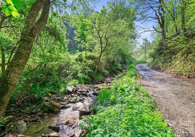 Photo 3 of Land for sale at 0 Fire Scald Rd, Green Mountain, NC 28740 | MLS# 4252435 | Listing updated on 2026-08-12