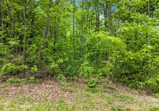 3rd image of 0 Ragans Pointe #31, Columbus, NC 28722 | MLS# 4253256