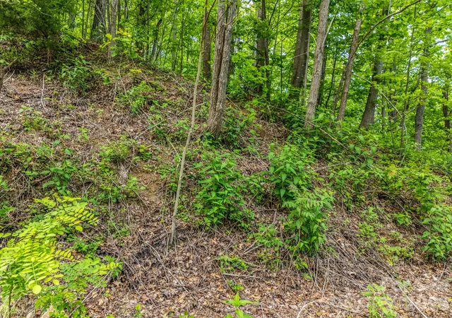 4th image of 0 Ragans Pointe #31, Columbus, NC 28722 | MLS# 4253256