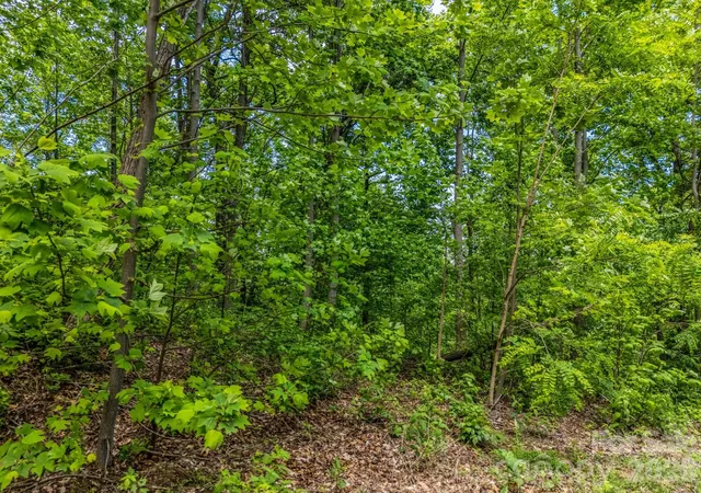 5th image of 0 Ragans Pointe #31, Columbus, NC 28722 | MLS# 4253256