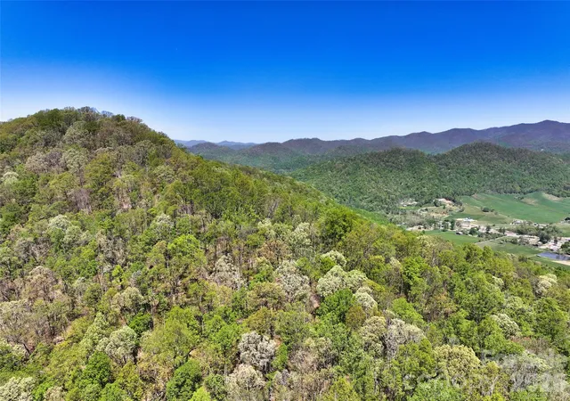 36th image of 99999 Anderson Cove Rd, Barnardsville, NC 28709 | MLS# 4255466