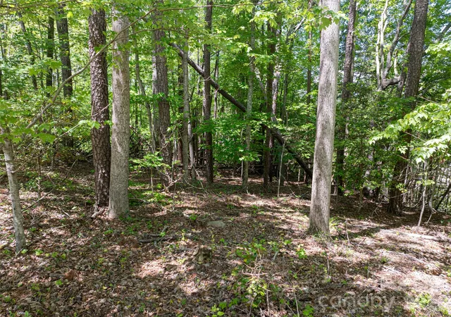 Photo 3 of Land for sale at 99999 Brevard Rd, Arden, NC 28704 | MLS# 4255927 | Listing updated on 2026-05-01
