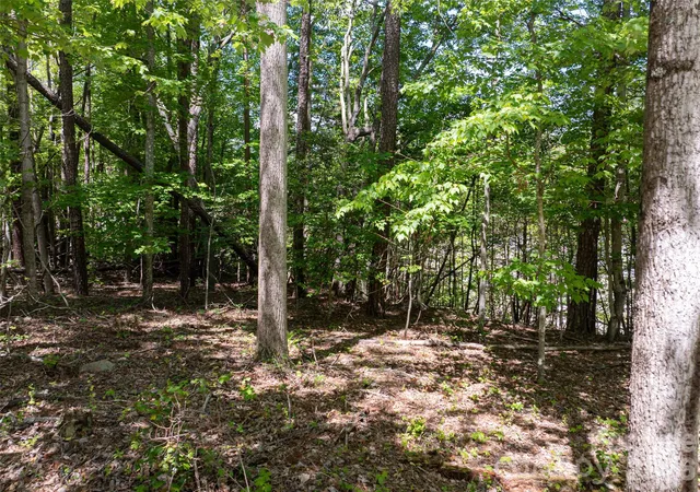 Photo 3 of Land for sale at 99999 Brevard Rd, Arden, NC 28704 | MLS# 4255927 | Listing updated on 2026-05-01