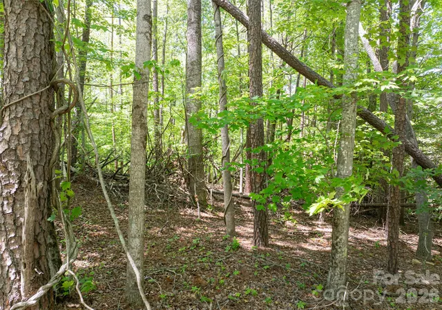 Photo 4 of Land for sale at 99999 Brevard Rd, Arden, NC 28704 | MLS# 4255927 | Listing updated on 2026-05-01
