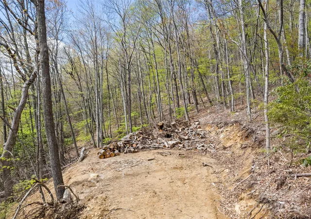 Photo 4 of Land for sale at Lot G-44 Odalu Trl #G-44, Maggie Valley, NC 28751 | MLS# 4256791 | Listing updated on 2026-04-17