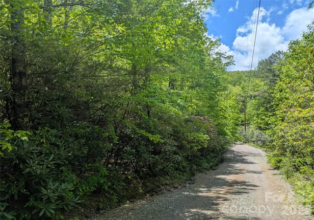 Homes for sale in Black Mountain, NC | 99999 Prospectors Trl, Black Mountain, NC 28711 | MLS# 4257400