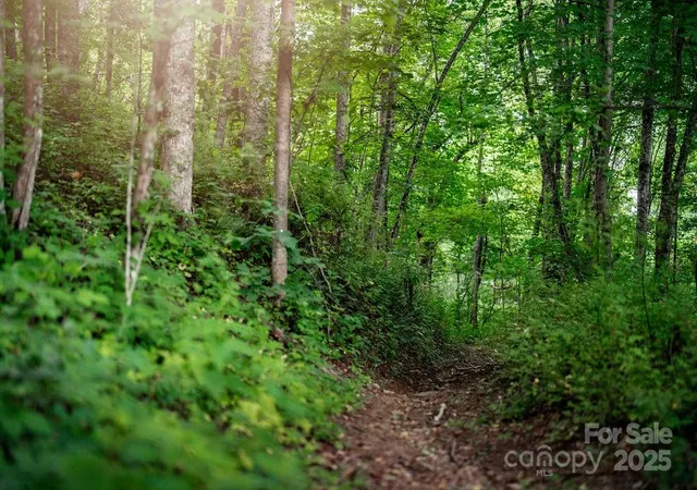 7th image of 0000 West Garden Trl #Lot 66, Hendersonville, NC 28792 | MLS# 4259166