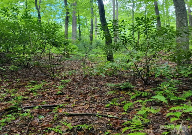 1st image of 000 Rocky Top Rd, Lenoir, NC 28645 | MLS# 4260053