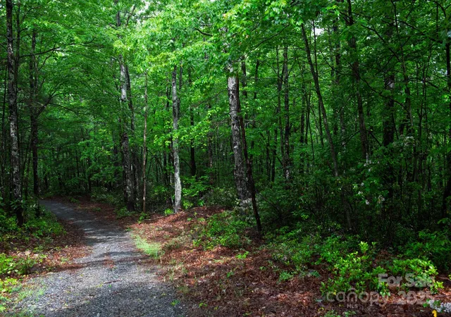 2nd image of 000 Rocky Top Rd, Lenoir, NC 28645 | MLS# 4260053