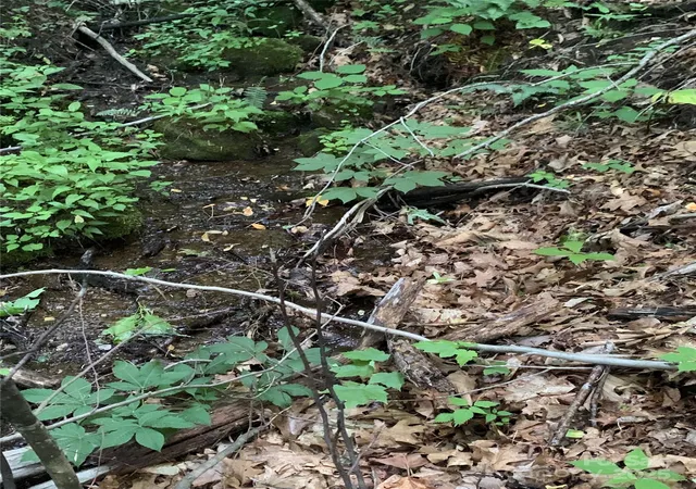 Photo 3 of Land for sale at 5 Friar Tuck Ln #5, Maggie Valley, NC 28751 | MLS# 4260072 | Listing updated on 2026-08-22