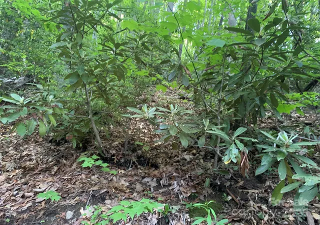 Photo 5 of Land for sale at 5 Friar Tuck Ln #5, Maggie Valley, NC 28751 | MLS# 4260072 | Listing updated on 2026-08-22