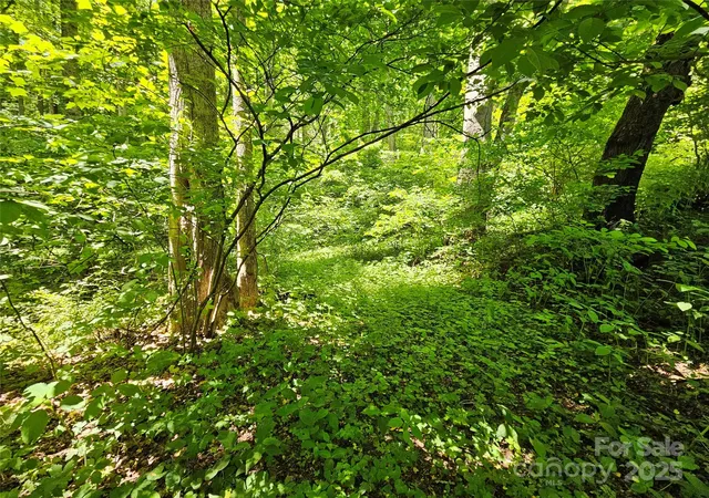 Photo 3 of Land for sale at 00 Owens Rd, Waynesville, NC 28785 | MLS# 4261477 | Listing updated on 2026-05-18