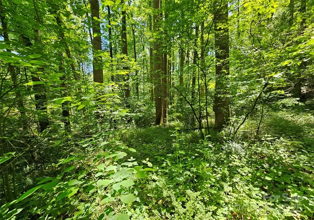 Photo 3 of Land for sale at 00 Owens Rd, Waynesville, NC 28785 | MLS# 4261477 | Listing updated on 2026-05-18