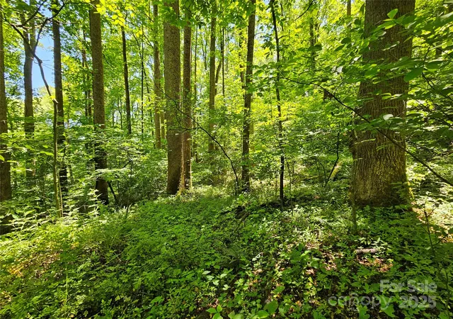 Photo 4 of Land for sale at 00 Owens Rd, Waynesville, NC 28785 | MLS# 4261477 | Listing updated on 2026-05-18