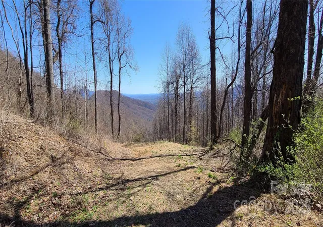 Photo 3 of Land for sale at 67 Creston Dr #T-17, Black Mountain, NC 28711 | MLS# 4263478 | Listing updated on 2026-06-01