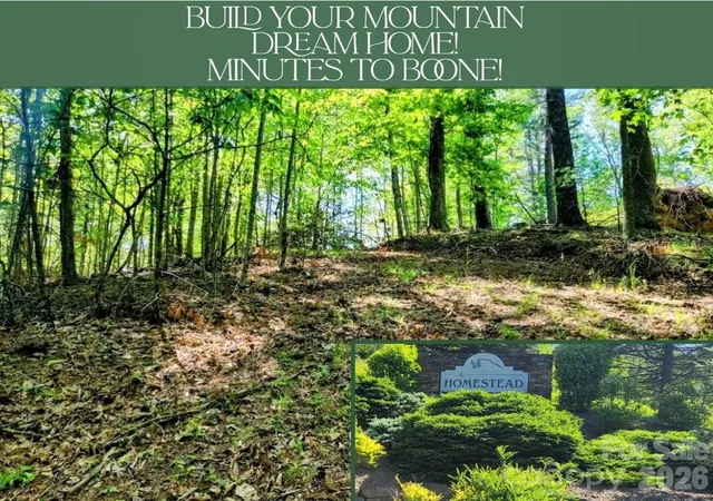 Photo 1 of Land for sale at Tbd Lucky Leaf Ln, Vilas, NC 28692 | MLS# 4264036 | Listing updated on 2026-09-03