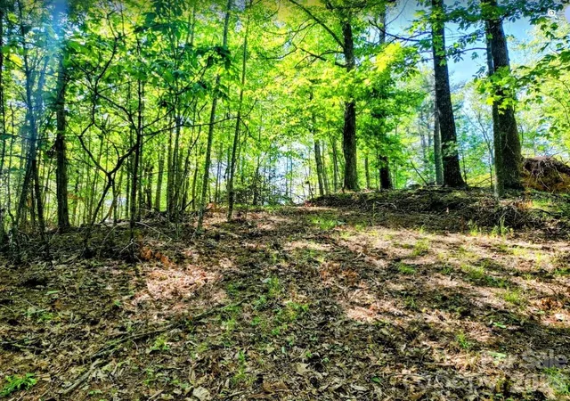 Photo 2 of Land for sale at Tbd Lucky Leaf Ln, Vilas, NC 28692 | MLS# 4264036 | Listing updated on 2026-09-03