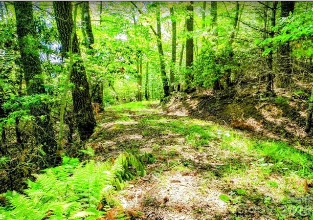 Photo 5 of Land for sale at Tbd Lucky Leaf Ln, Vilas, NC 28692 | MLS# 4264036 | Listing updated on 2026-09-03
