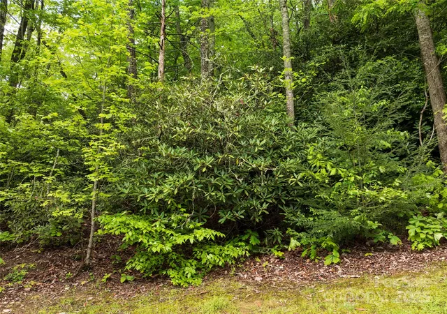 Photo 4 of Land for sale at 52 Settings Blvd, Black Mountain, NC 28711 | MLS# 4264257 | Listing updated on 2026-05-12