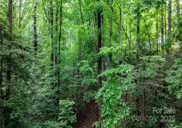 Photo 4 of Land for sale at 765 Tanglecliff St SE, Valdese, NC 28690 | MLS# 4265288 | Listing updated on 2026-04-15
