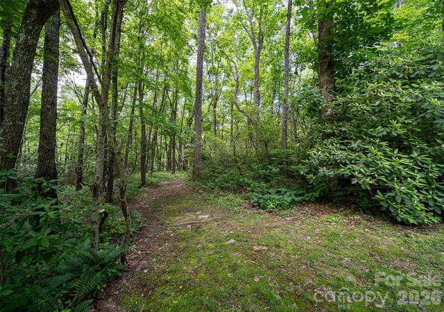 Homes for sale in Hendersonville, NC | 83 Waterstone Dr #46, Hendersonville, NC 28792 | MLS# 4265658